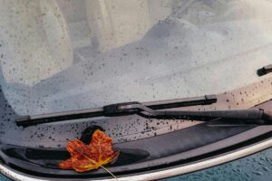 palhetas de limpador