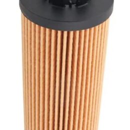 Filtro de Óleo Wega WOE238