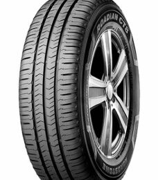 Pneu Aro 15 ROADSTONE 205X70R15C 106/104T Roadian CT8